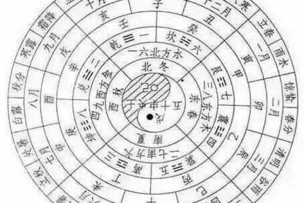 大运与地支的深度解析：命理中如何通过地支解读大运运势