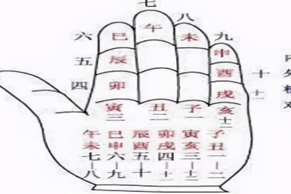 大运与地支的深度解析：命理中如何通过地支解读大运运势