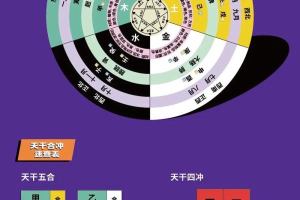 地支五行属性与命理的深刻关联解析 地支五行属性与命理的深刻关联解析