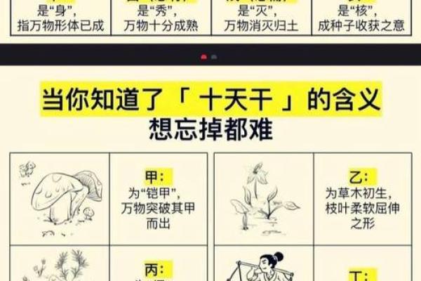 从天干地支看个人运势的推算技巧