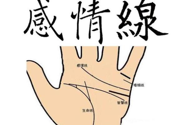 男人手相图解指南:掌纹识别与性格、事业、爱情的关系 男人手相图解指南:掌纹识别与性格、事业、爱情的关系