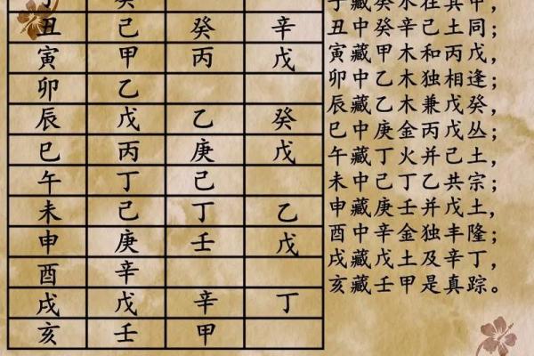 地支所藏的奥秘与命理解析 地支所藏的奥秘与命理解析