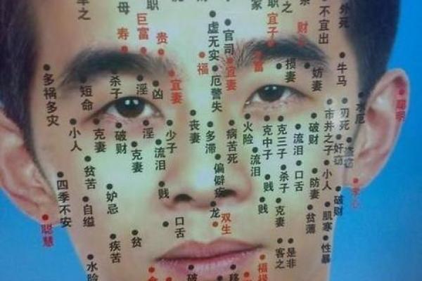 最权威男痣相解析:从面部痣相看性格与命运 最权威男痣相解析:从面部痣相看性格与命运