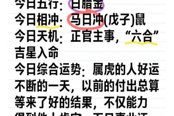 今日生肖虎运势解析：事业与感情的双重挑战与机遇
