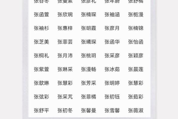 张姓男孩取名技巧与推荐方法解析