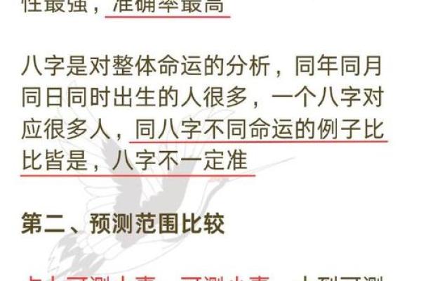 成为命理大师，学习解析生辰八字的奥秘