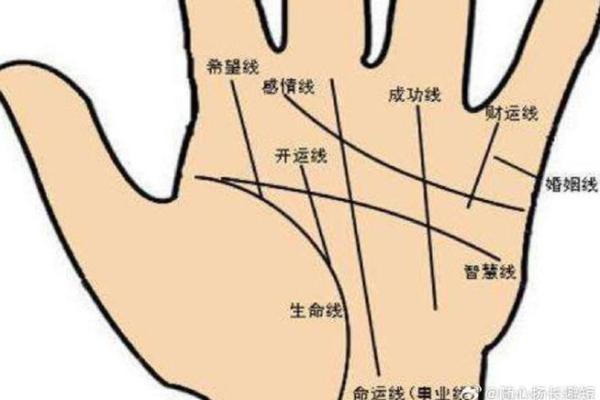 探索女性手相:每一条线条的深层含义 探索女性手相:每一条线条的深层含义
