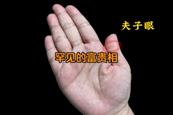 揭示旺夫手相的秘密:婚姻幸福的关键手纹 揭示旺夫手相的秘密:婚姻幸福的关键手纹