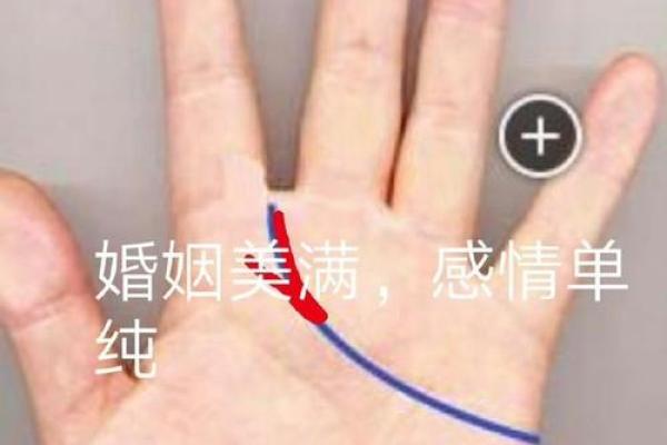 揭示旺夫手相的秘密:婚姻幸福的关键手纹 揭示旺夫手相的秘密:婚姻幸福的关键手纹