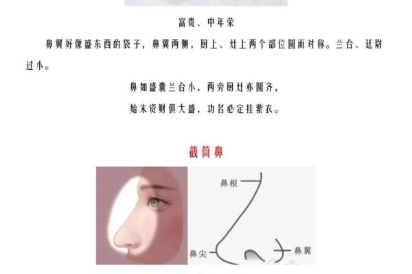 从大鼻子女人的面相看人生运势