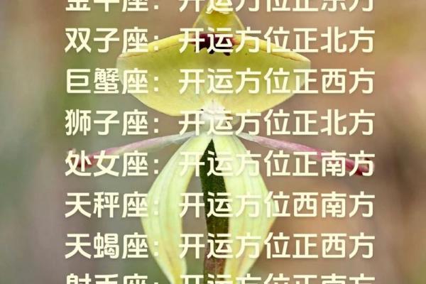 从星座看运势变化，你需要知道的关键点
