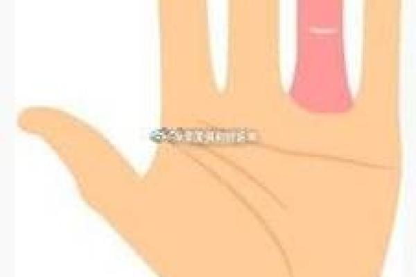 无名指手相分析:从细节看个人性格与健康 无名指手相分析:从细节看个人性格与健康