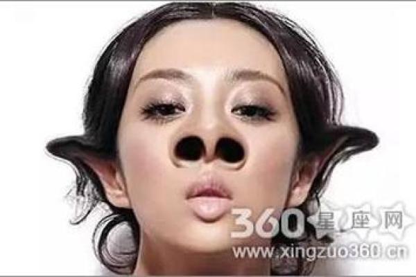 从朝天鼻面相看你的人生潜力与运势走势