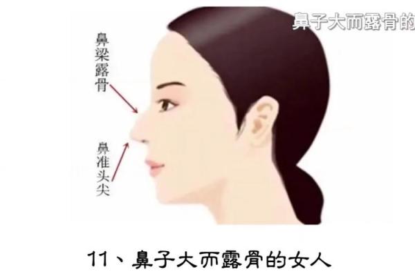 鼻梁起节的女人面相解析：暗示什么性格与命运特征