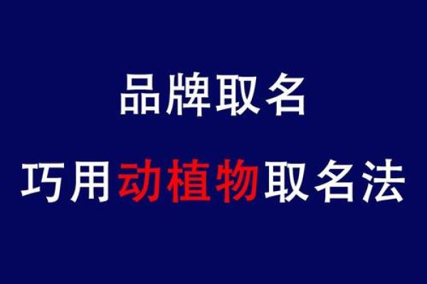 公司取名打分测试免费服务帮助你轻松选名与提升品牌形象