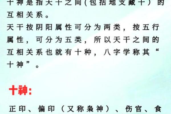 掌握八字阴阳查询器，洞察人生运势的关键