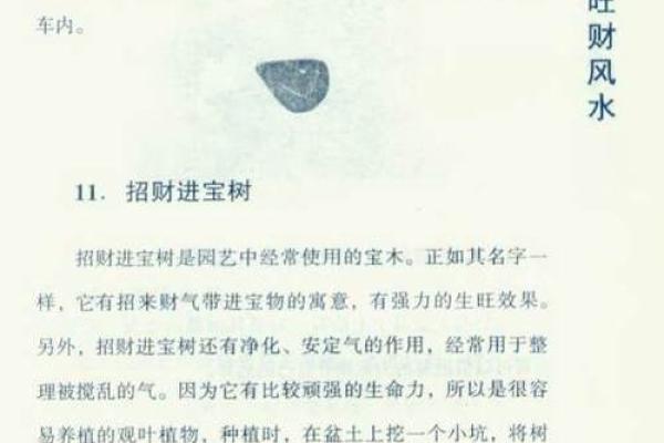 店面门口风水布局助力生意兴隆的秘诀