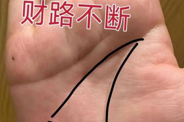 手相中的元宝纹:财运与事业的象征解析 手相中的元宝纹:财运与事业的象征解析