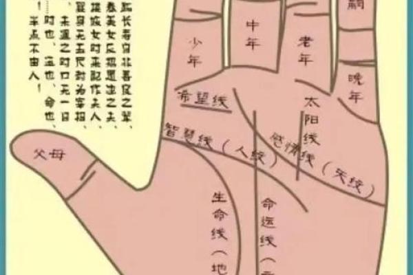 免费手相解读:掌握生命中的重要转折 免费手相解读:掌握生命中的重要转折