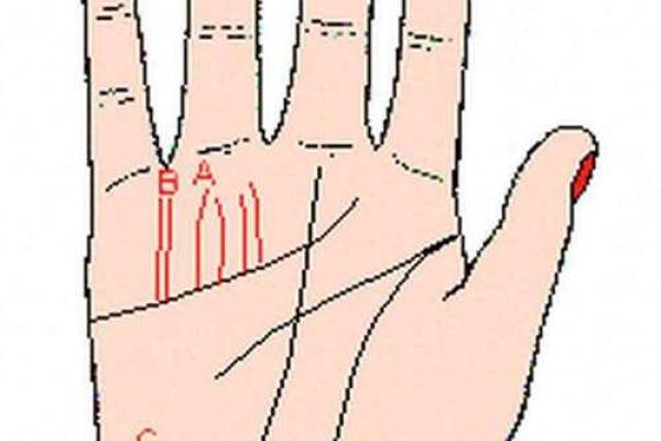 免费手相解读:掌握生命中的重要转折 免费手相解读:掌握生命中的重要转折