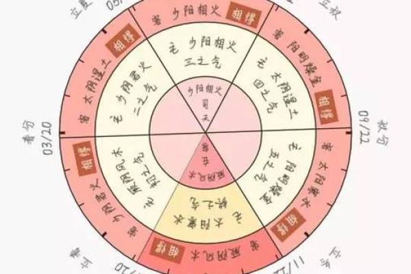 地支阴阳对五行运势的深远影响解析