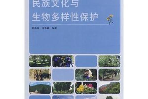 探索中国民族文化的深厚底蕴与多样性