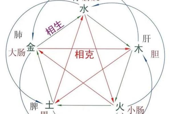 地支相生的奥秘与应用:探索五行相生的深层关系 地支相生的奥秘与应用:探索五行相生的深层关系