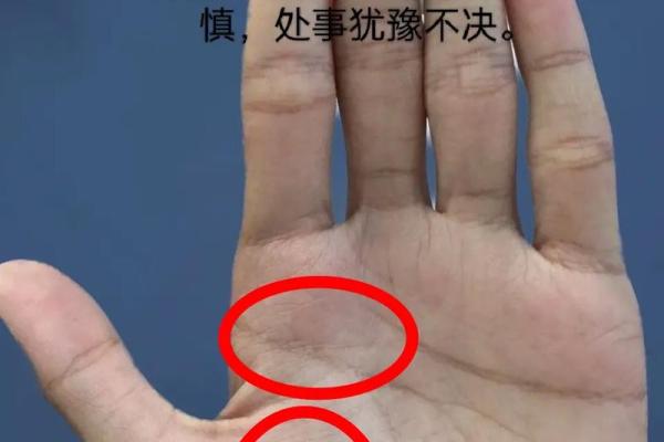 男性手相分析:揭示你的职业与感情走向 男性手相分析:揭示你的职业与感情走向