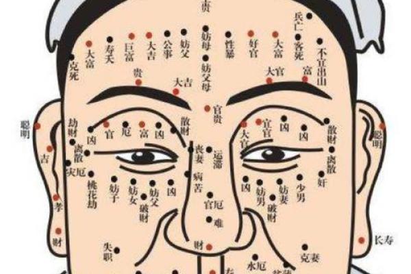 从胸口痣相看性格特征与人生走向 从胸口痣相看性格特征与人生走向