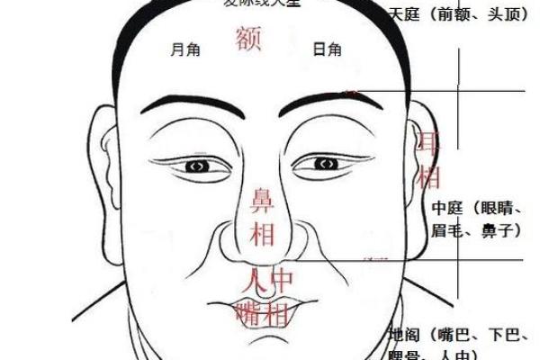额头面相分析：解读额头的性格与命运奥秘