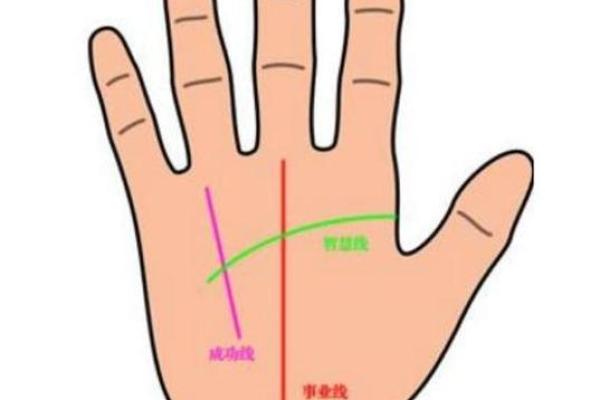 揭秘男人手相:从掌纹看性格与命运 揭秘男人手相:从掌纹看性格与命运