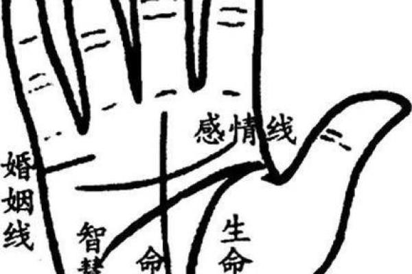 揭秘男人手相:从掌纹看性格与命运 揭秘男人手相:从掌纹看性格与命运