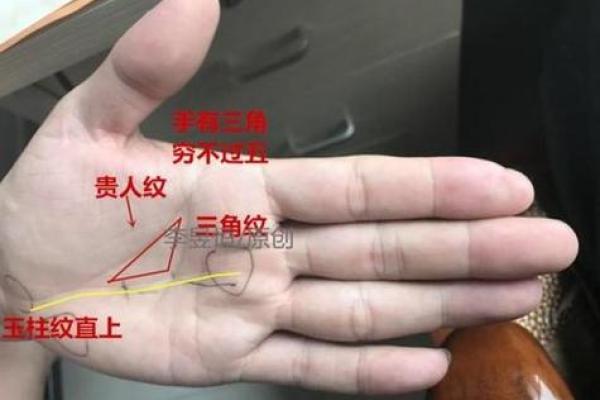 手相软件如何揭示你的人生潜力与未来趋势 手相软件如何揭示你的人生潜力与未来趋势