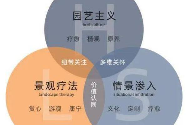 文化元素对社会认同感的塑造作用