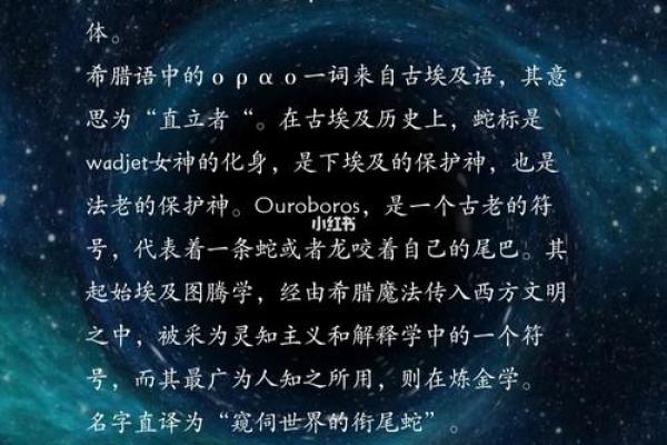 起英文名网免费取名服务助你轻松选名 打造专属个人品牌