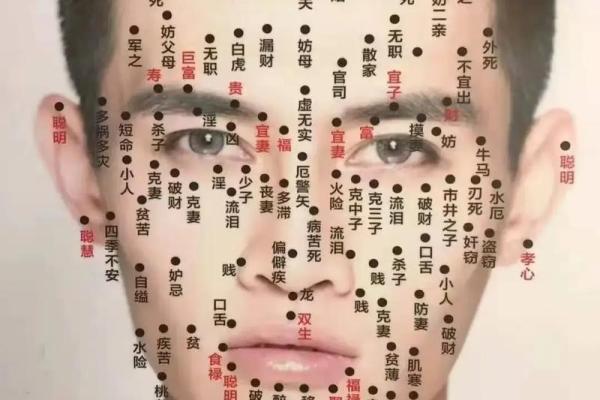 从脸部痣相看人生轨迹:痣的位置与命运的秘密 从脸部痣相看人生轨迹:痣的位置与命运的秘密
