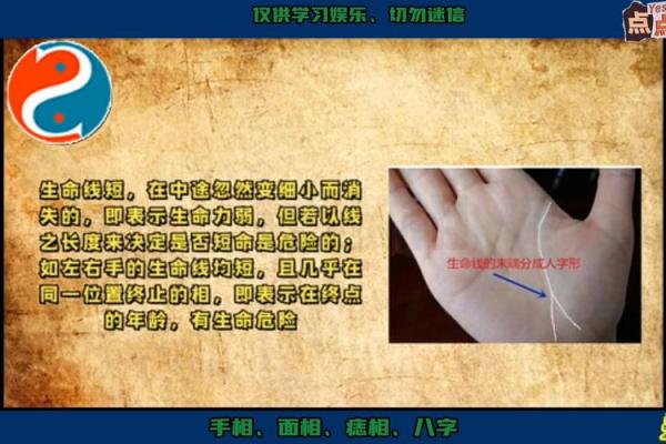 女孩手相中的生命线与智慧线暗藏的秘密 女孩手相中的生命线与智慧线暗藏的秘密