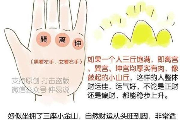 识别你的命运手相,了解最佳财富征兆 识别你的命运手相,了解最佳财富征兆
