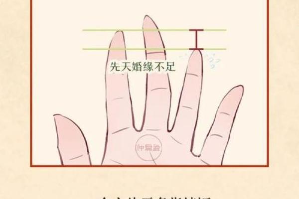 通过手相看职业成功的关键特征 通过手相看职业成功的关键特征