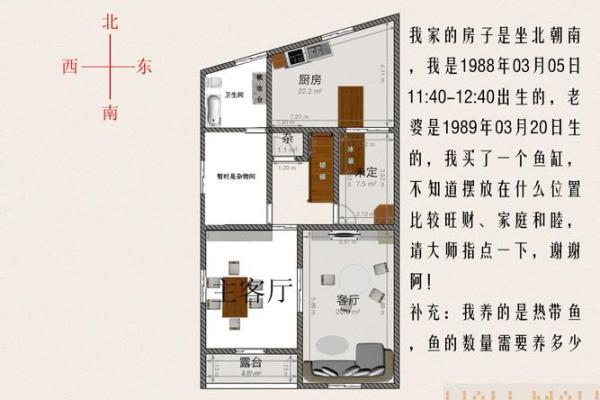 打造好运气：店面风水的正确选择