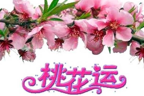 狗年桃花运旺盛？这几招风水技巧不可忽视
