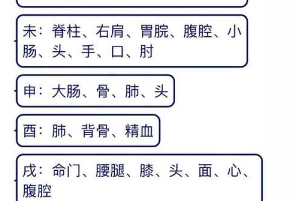 地支三会的奥秘与命理解析 地支三会的奥秘与命理解析