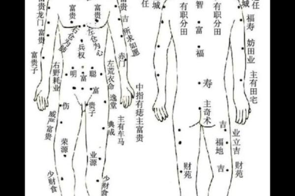 解读全身痣相:痣的位置与性格特征的深层联系 解读全身痣相:痣的位置与性格特征的深层联系