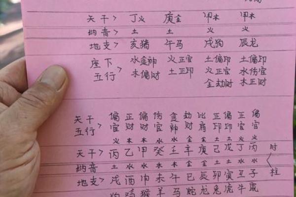 地支的奥秘与应用解析：从命理到风水的深度解读