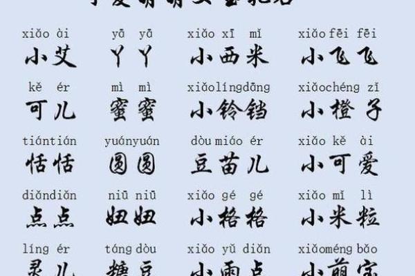 夏姓宝宝起名指南 让孩子名字更有寓意和独特性