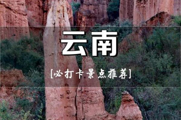 感受云南风情：文化的多样性与深度
