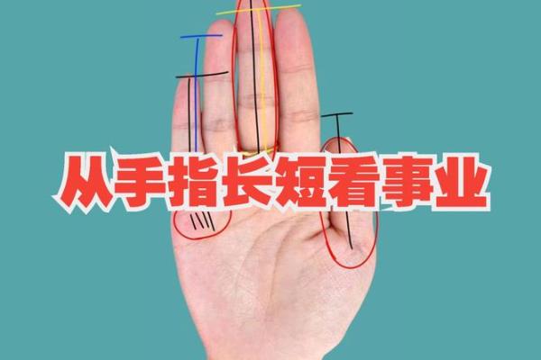 手指长度与手相关系：如何解读你的人生轨迹