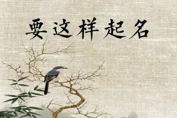 羊年男孩起名字推荐：寓意吉祥的选择