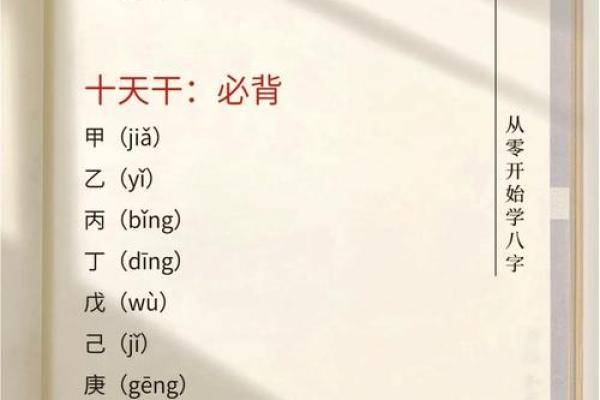 地支相生相克的奥秘与应用分析 地支相生相克的奥秘与应用分析