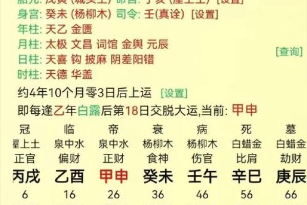 地支五行与命理:揭示它们对人生运势的深刻影响 地支五行与命理:揭示它们对人生运势的深刻影响